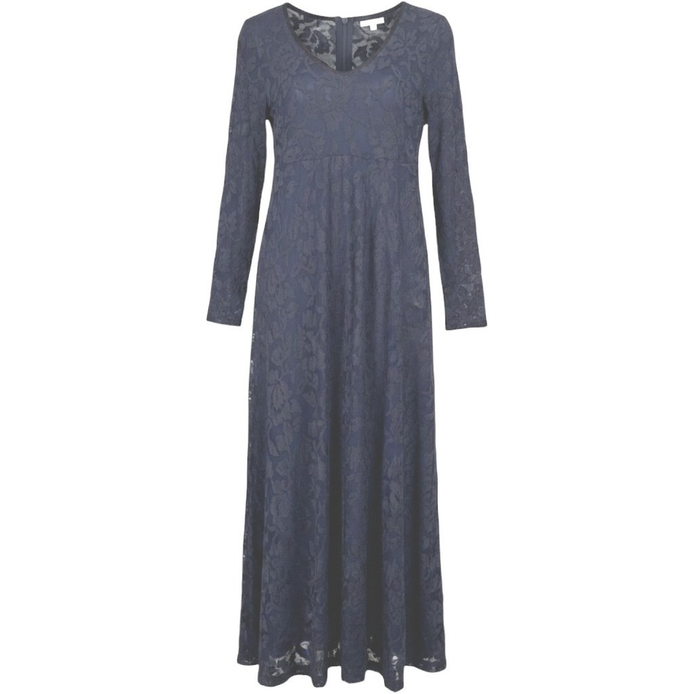 Vintage Burnout Velvet Floral Maxi Dress Navy Sheer Empire Waist Boho Whimsigoth